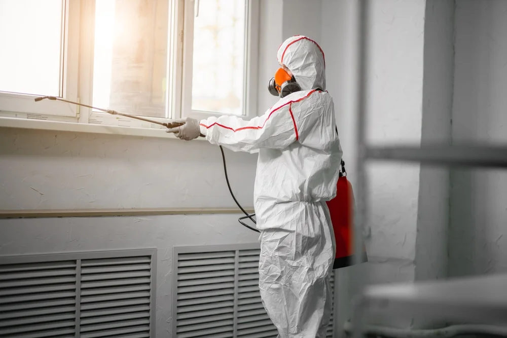 Professional mold remediation services in Millersville, MD